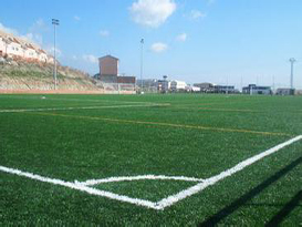 球場人造草